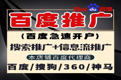 百度推广实战攻略：案例与策略